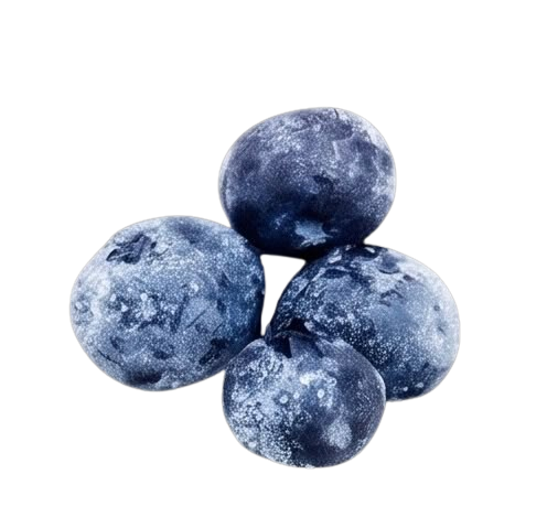 Fruta